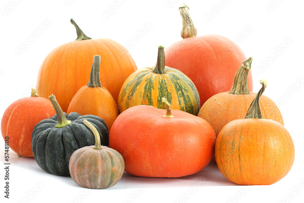 Poster pumpkins family