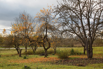 Fototapeta na wymiar Czas jesień w starym ogrodzie