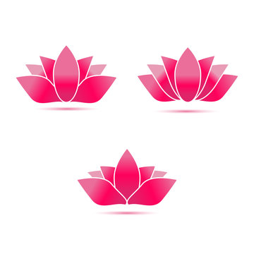 lotus flower vector
