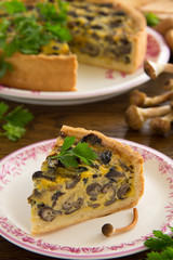 Mushroom pie with cheese and wild mushrooms.