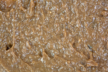 Obraz premium A very close view of anchovy paste