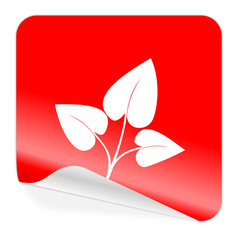 leaf icon