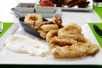 Squid