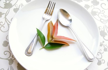 healthy food concepte