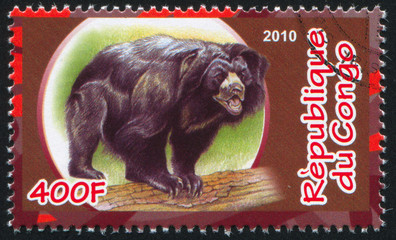 Bear