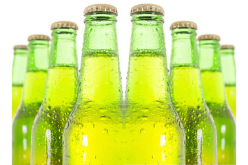 Row of beer bottles