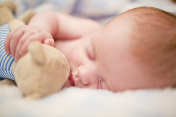 Niemowlę śpi z misiem © blizarre