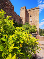 Fototapeta premium Alcazaba in Malaga, Spain