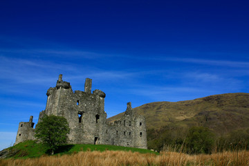 Fototapeta premium Ecosse-287