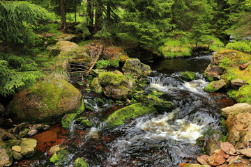 Creek in the beautiful Wilderness