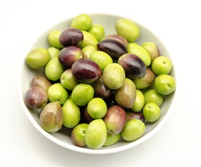 Aceitunas recien cosechadas