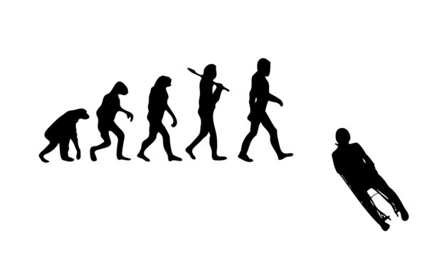 Evolution Sledging