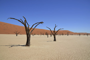 Namibia - Land der Gegensätze