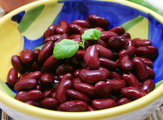 kidneybohnen