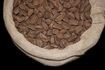 Brazil nut