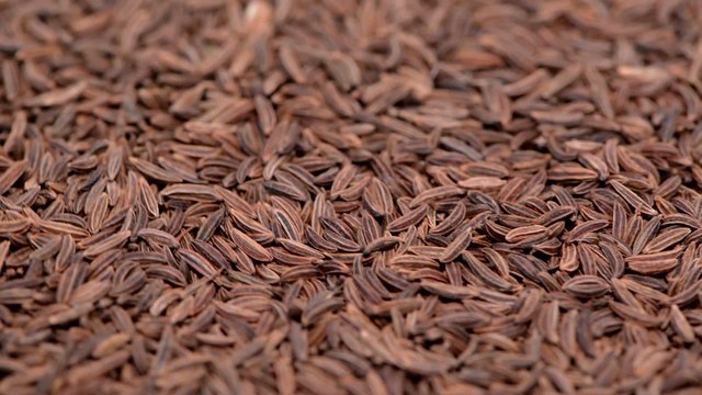 Loopable Caraway Video