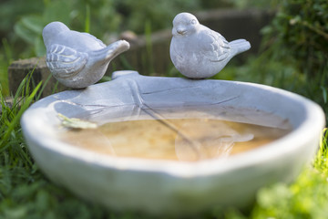 Wasserschale für Vögel im Garten