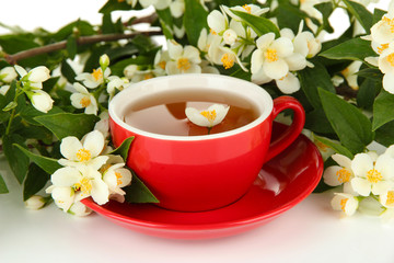 Cup of tea with jasmine, isolated on white