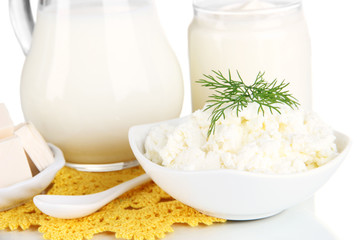 Fresh dairy products isolated on white