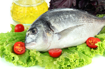 Dorado fish close-up