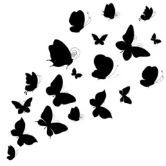 butterflies design