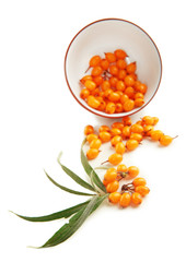 Sea buckthorn berries in bowl isolated on white