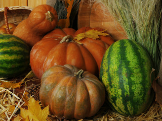 Pumpkins in basket and watermelons and wooden tub