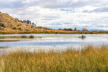 Fototapeta na wymiar Lake Titicaca,South America, located on border of Peru