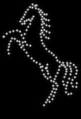 созвездие конь2