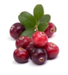 Cranberry with leaf on white background