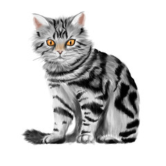 Obraz premium Vector illustration of sitting tabby kitten
