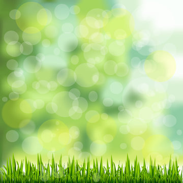 Grass Border On Natural Green Background