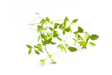 Thyme.