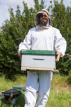 Male Beekeeper Carrying Honeycomb Box