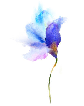 Fototapeta Akwarela niebieski kwiat
