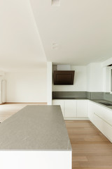 beautiful new apartment, interior, modern kitchen