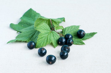 blackcurrants