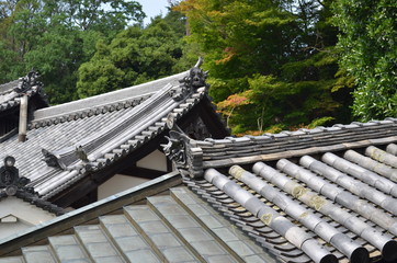 Fototapeta na wymiar toiture japonaise