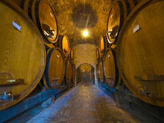 oak wine barrels in winery cellar
