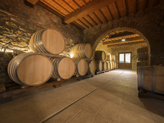 oak wine barrels in winery cellar