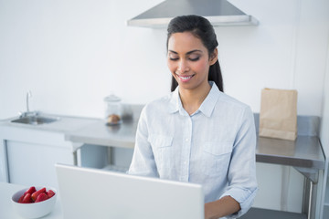 Lovely young woman working on notebook standing in bright kitche