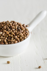 Closeup of moth beans