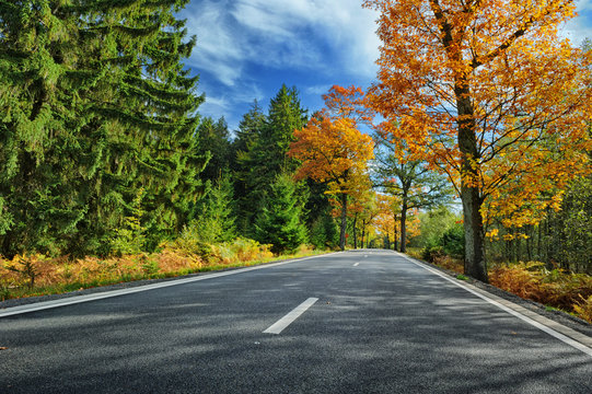 Fototapeta Colorful autumn landscape with road
