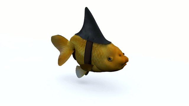 fake shark fin on little redfish, 3d animation loop