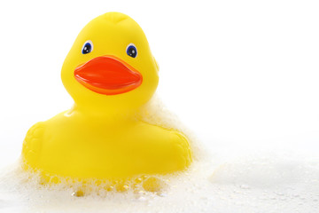 Yellow rubber duck in bath foam