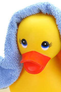 Rubber yellow duck with towel
