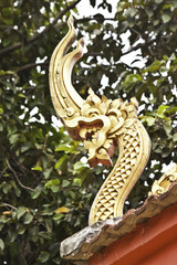 Obraz premium naga image