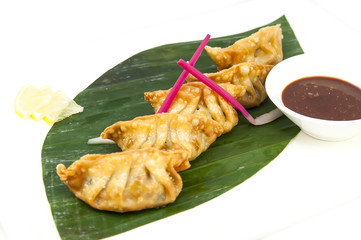 Japanese dumplings with lettuce on white background