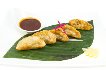 Japanese dumplings with lettuce on white background
