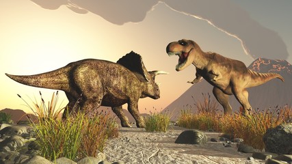 triceratops and tyrex tyrannosaurus rex